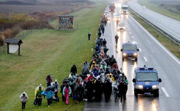 More than 50 migrants, found at Arad border crossing point hidden among metal profiles in truck