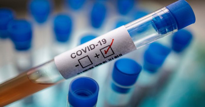 36.9 pct of COVID cases - in Bucharest, Cluj, Timis, Dolj and Tulcea counties, June 26 - July 2