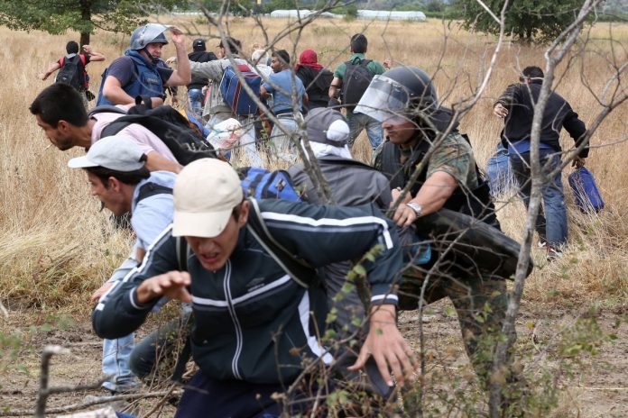 Almost 300 illegal immigrants found in Romania in the past two weeks