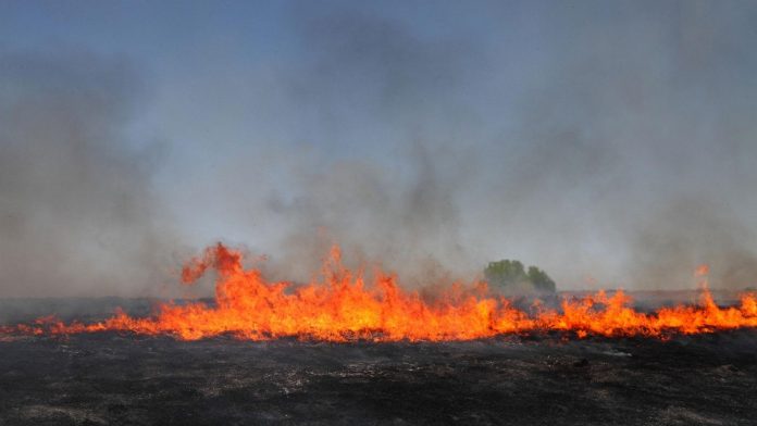 Romanian firefighters in Corsica Island participate in extinguishing wildfire near Corte