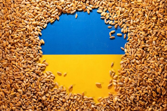 TransportMinister: We have established measures to increase level of grain transit from Ukraine through Romania