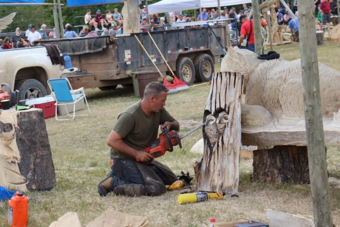 Wood artists from all over Romania, at Chainsaw Sculptors Festival