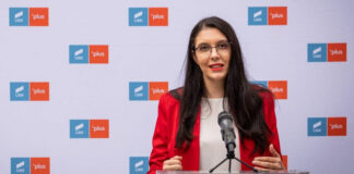 EnviMin Buzoianu: Tens of thousands of people, left without water as a result of works in Paltinu