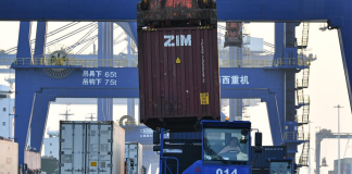 Hainan FTP to see diversified, high-quality growth after special customs operations: expert